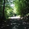 route