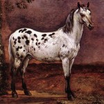 Le cheval tacheté, Paulus Potter, 1653, Musée du Louvre.