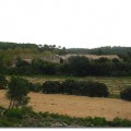 domaine-boutonnet