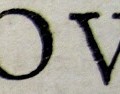 texte-loup