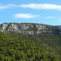 auriol1