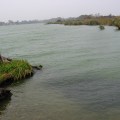 etang-des-aulnes
