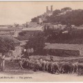 chateaurenard