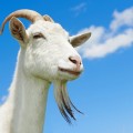© Kadmy - Fotolia.com