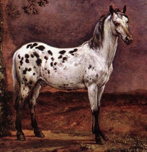 Le cheval tacheté, Paulus Potter, 1653, Musée du Louvre.