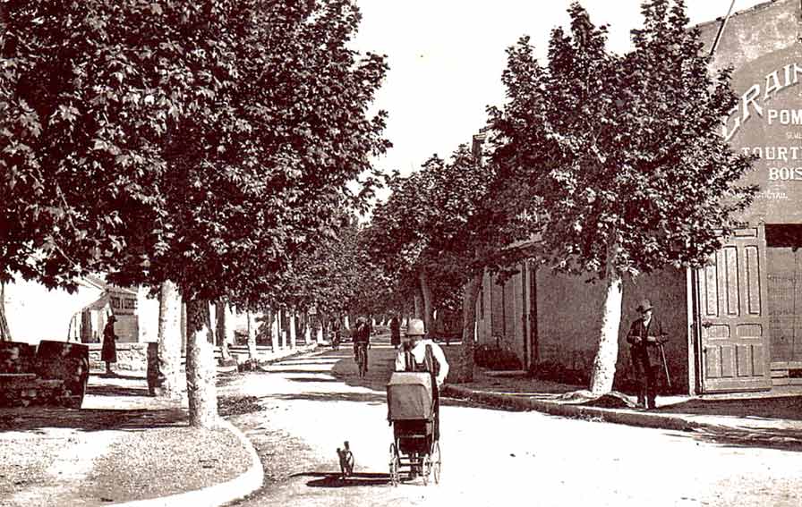 Miramas. Avenue de Saint-Chamas. Cliché Parraud.