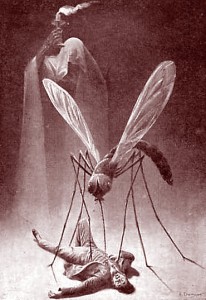 Dessin pour la prévention du paludisme. Ehrmann. Début XXe siècle. DR.