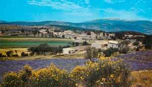 Le hameau de Saint-Jean, commune de Sault (Vaucluse) au début des années 1970. DR.