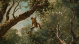 homme-arbre-fayence